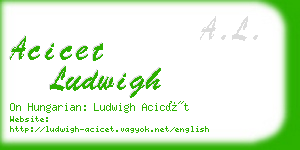 acicet ludwigh business card